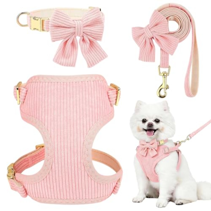 No Pull Dog Harness - Small Dog Collar Harness and Leash