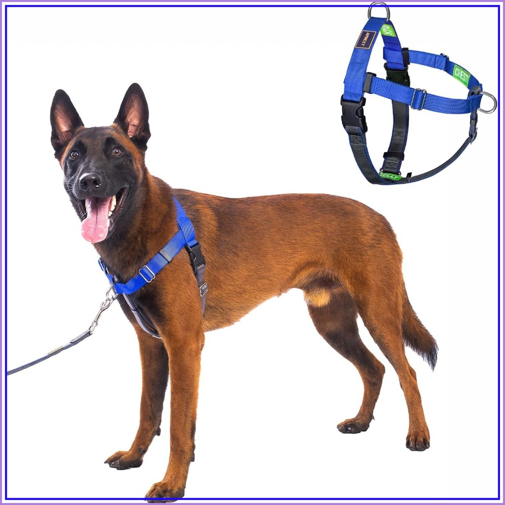 No Pull Dog Harness - No Pull Dog Harness, Easy Walk