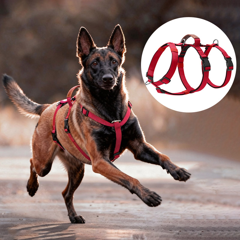 Escape-Proof Nylon Dog Harness - No Pull Dog Harness incelemesi ve fiyatı