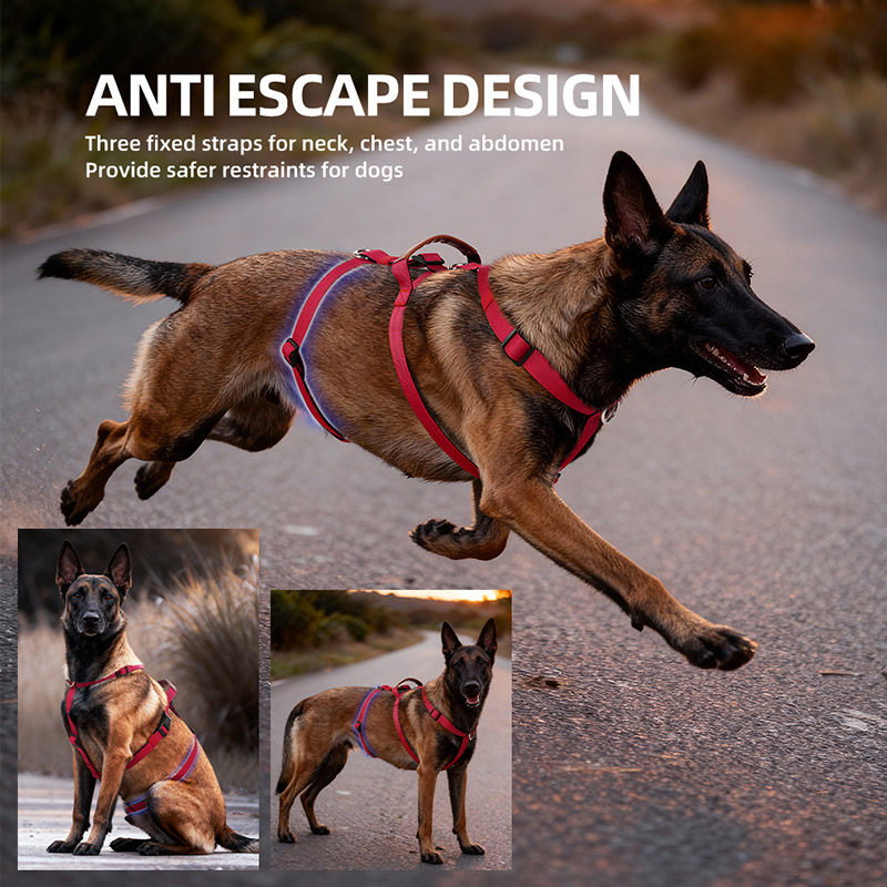 Escape-Proof Nylon Dog Harness - No Pull Dog Harness incelemesi ve fiyatı