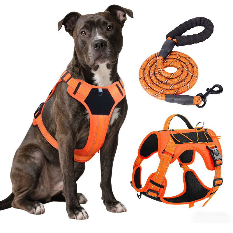 Dog Harness and Leash Set for  - No Pull Dog Harness incelemesi ve fiyatı