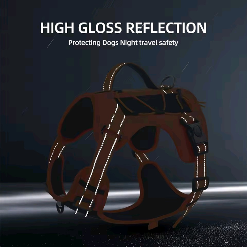 Dog Harness and Leash Set for  - No Pull Dog Harness incelemesi ve fiyatı