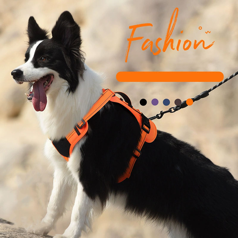 Dog Harness and Leash Set for  - No Pull Dog Harness incelemesi ve fiyatı