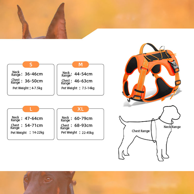 Dog Harness and Leash Set for  - No Pull Dog Harness incelemesi ve fiyatı