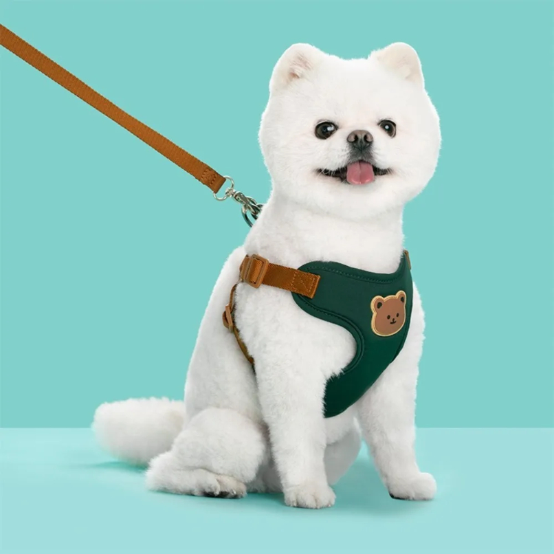 Creative Cute Pet Harness Leas - No Pull Dog Harness incelemesi ve fiyatı