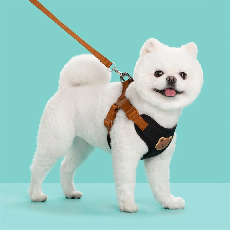 Creative Cute Pet Harness Leas - No Pull Dog Harness incelemesi ve fiyatı