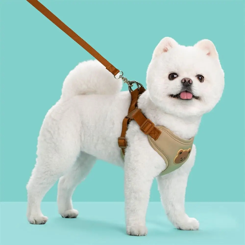 Creative Cute Pet Harness Leas - No Pull Dog Harness incelemesi ve fiyatı