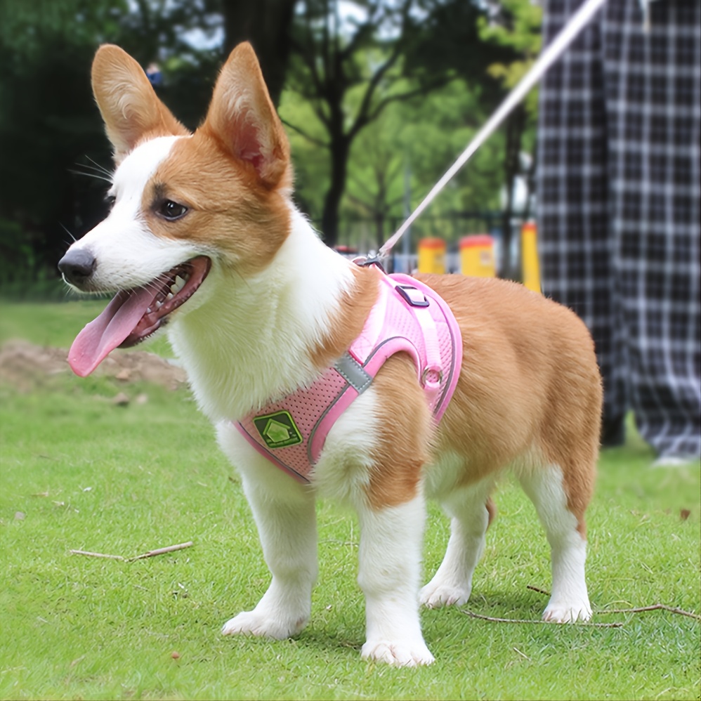 Reflective Pet Harness And Lea - No Pull Dog Harness incelemesi ve fiyatı