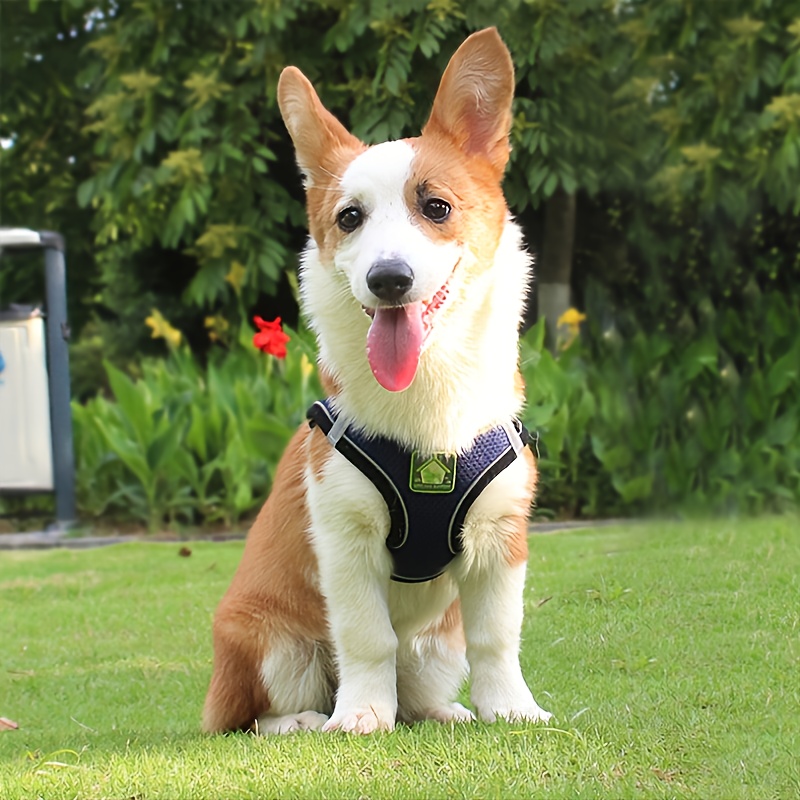 Reflective Pet Harness And Lea - No Pull Dog Harness incelemesi ve fiyatı