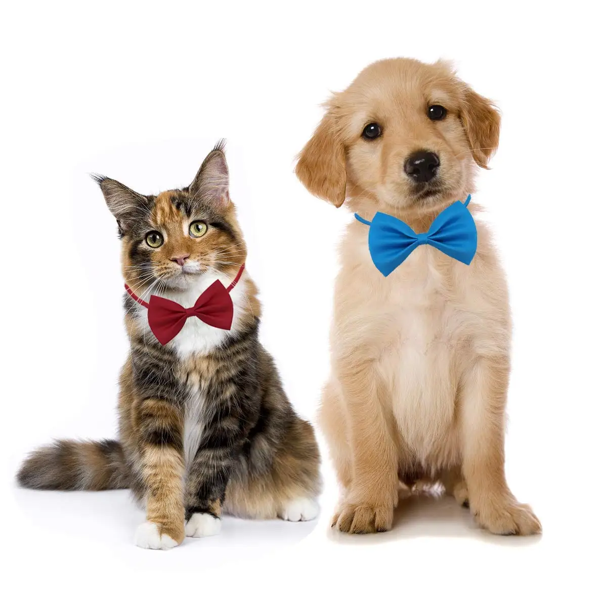 50/100pcs Dog Bows Mix Colors  - Dog Bandana Scarf incelemesi ve fiyatı