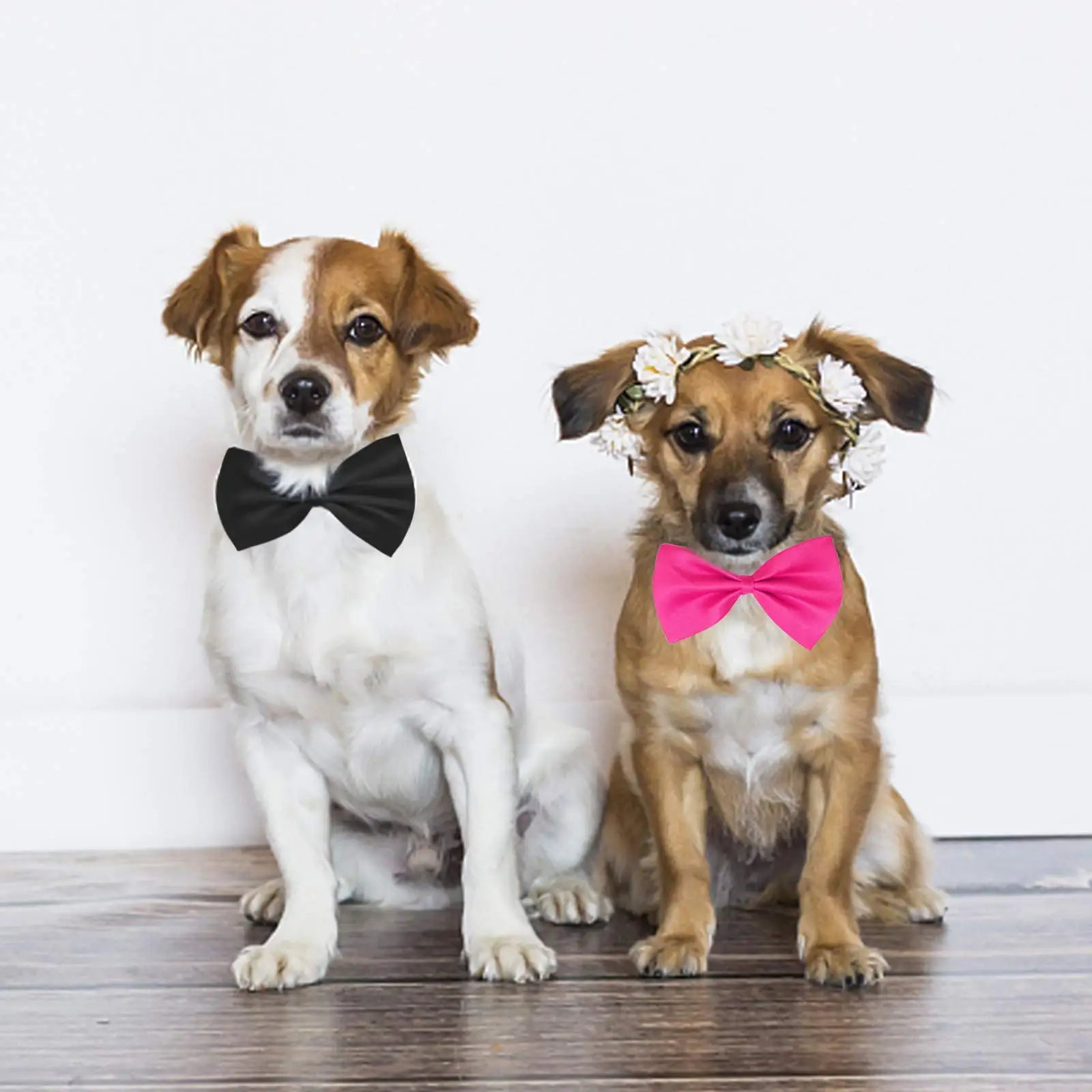50/100pcs Dog Bows Mix Colors  - Dog Bandana Scarf incelemesi ve fiyatı
