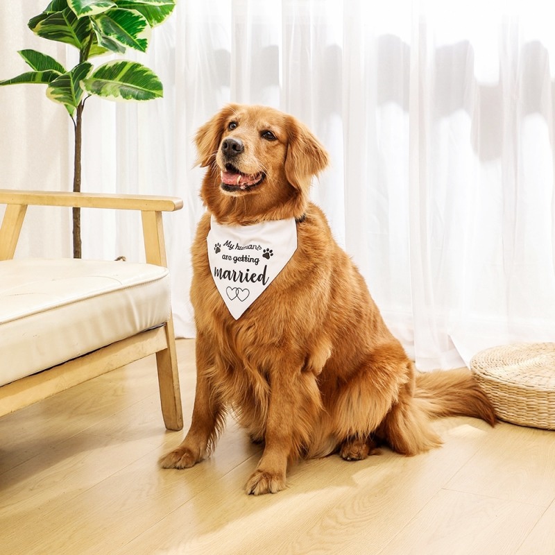 Fashion Dog Bandanas Dog Saliv - Dog Bandana Scarf incelemesi ve fiyatı