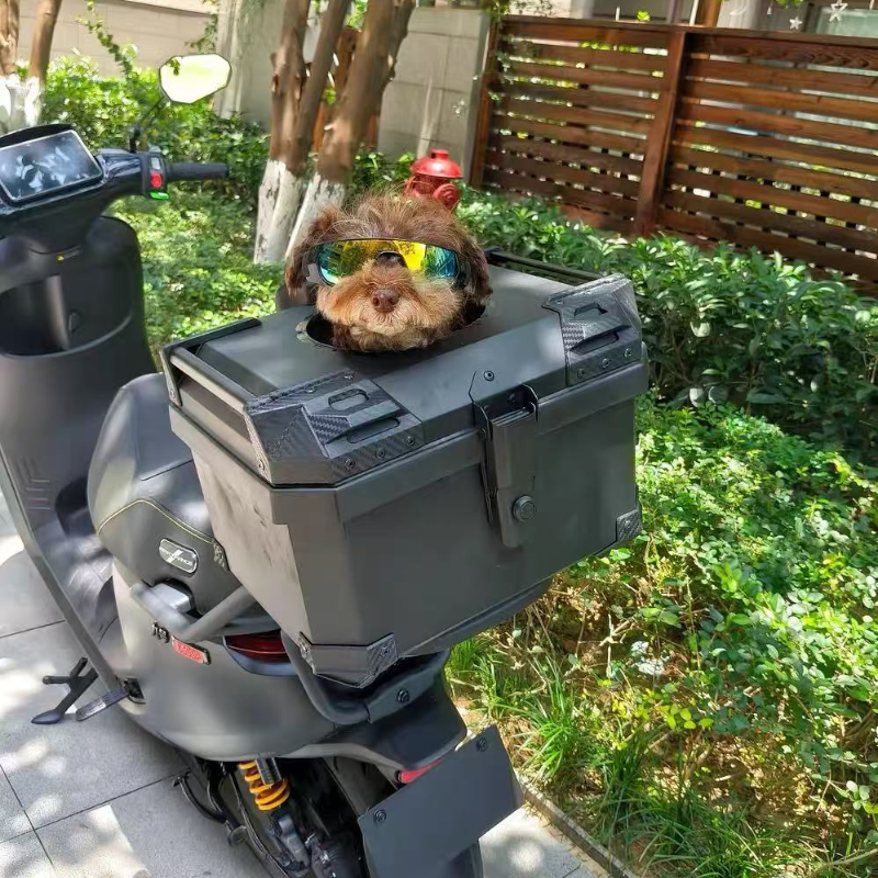 36L/45L/57L/70L Motorcycle tru - Pet Supplies Stores incelemesi ve fiyatı