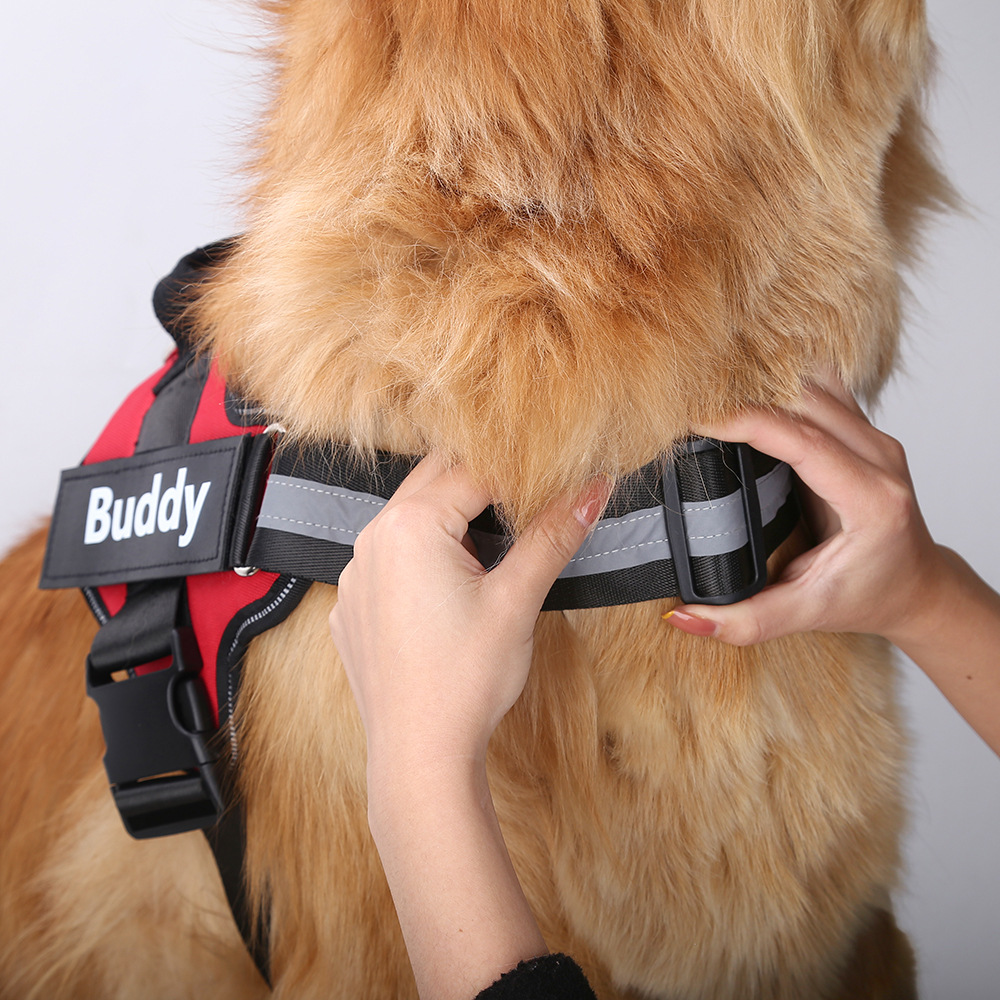 Customized Reflective Breathab - No Pull Dog Harness incelemesi ve fiyatı