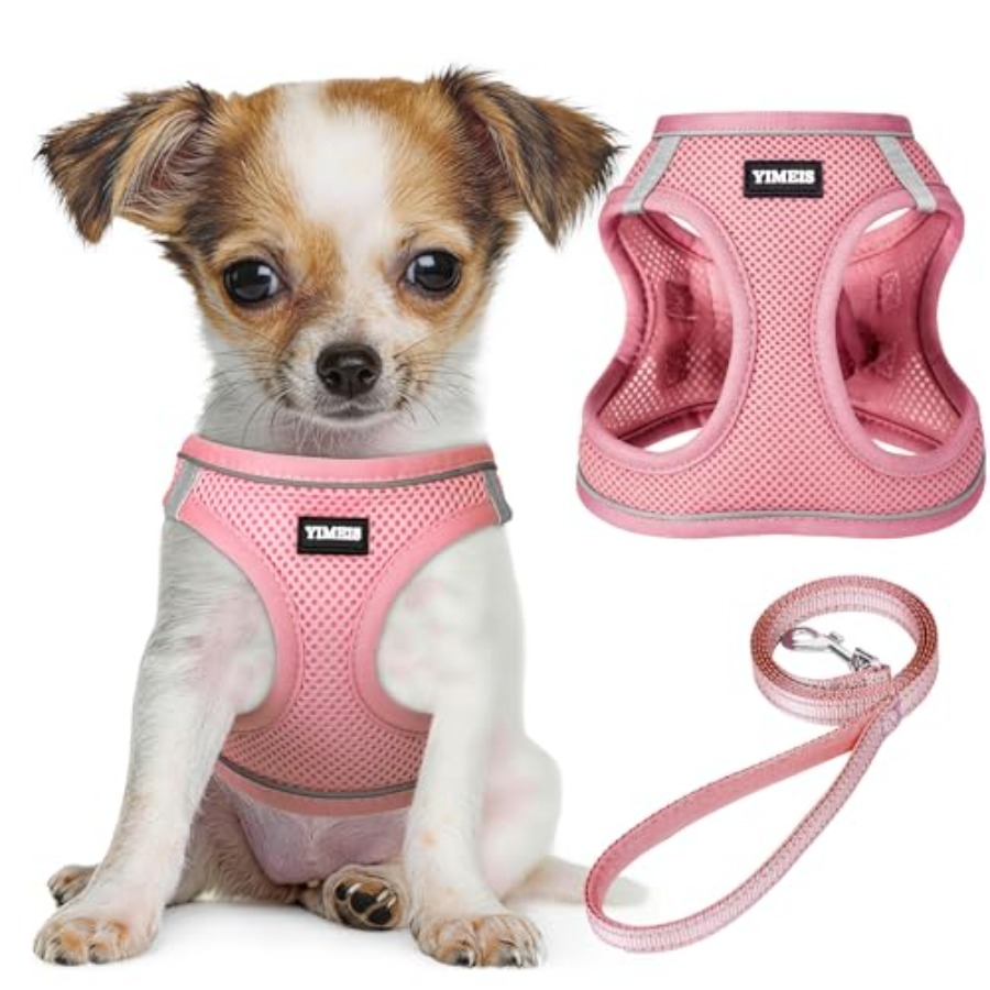 Dog Harness and Leash Set: Out - No Pull Dog Harness incelemesi ve fiyatı