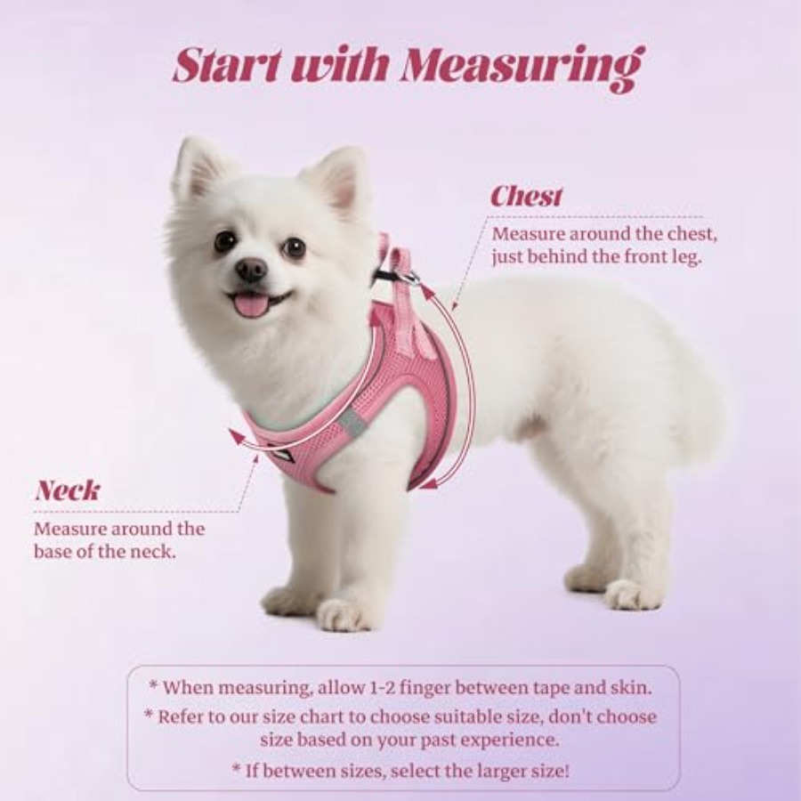 Dog Harness and Leash Set: Out - No Pull Dog Harness incelemesi ve fiyatı