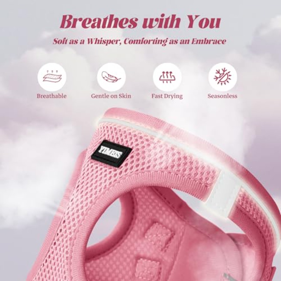 Dog Harness and Leash Set: Out - No Pull Dog Harness incelemesi ve fiyatı