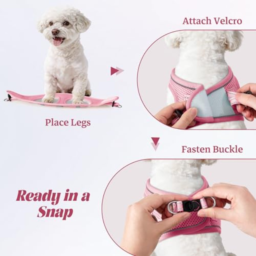 Dog Harness and Leash Set: Out - No Pull Dog Harness incelemesi ve fiyatı
