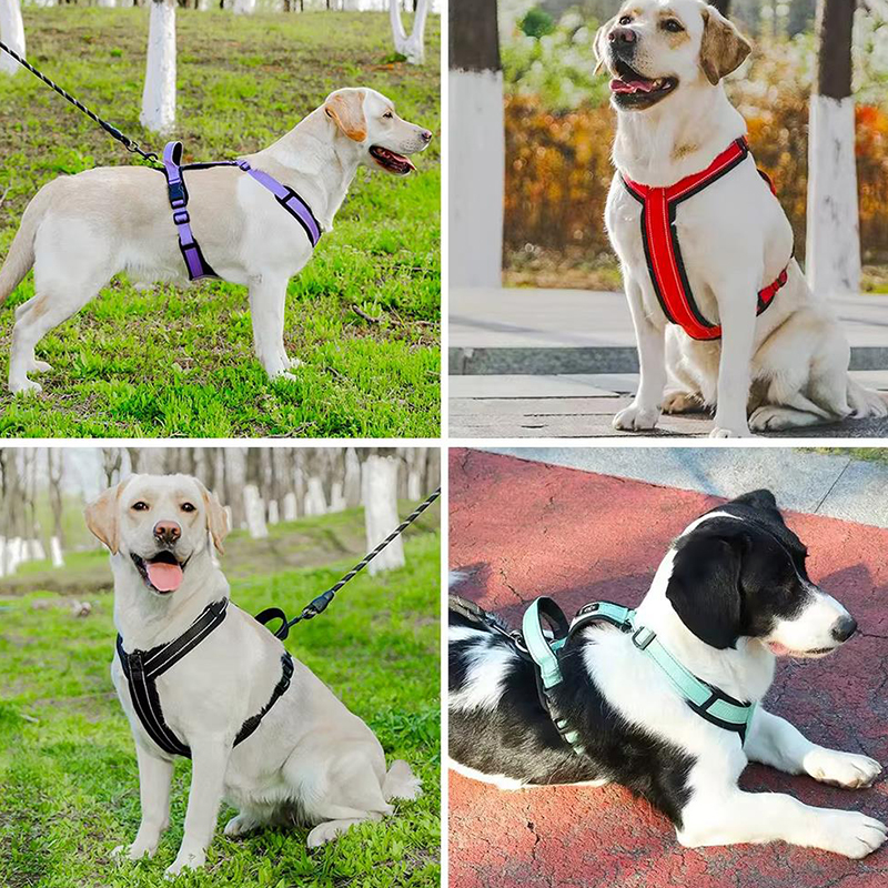 New Pet Dog Harness No-pull Do - No Pull Dog Harness incelemesi ve fiyatı