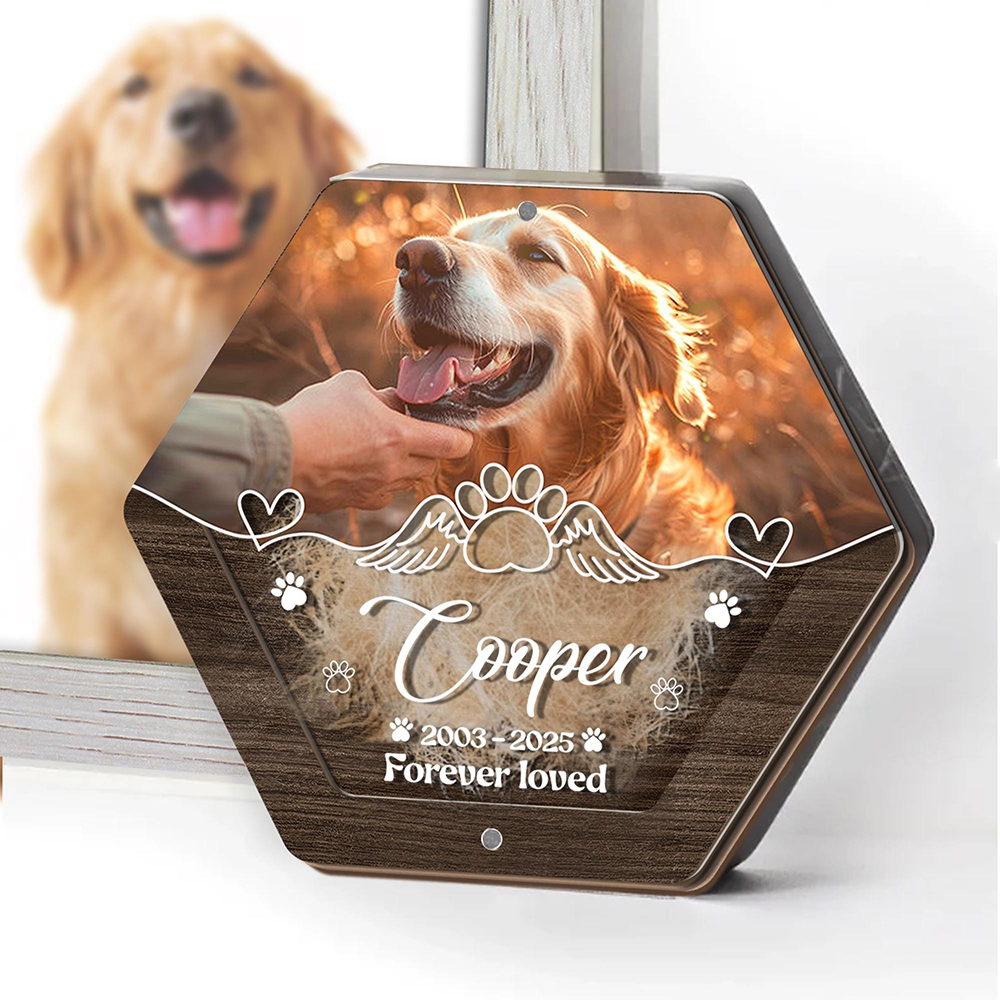 Personalized Name Wooden Carvi - Pet Supplies Stores incelemesi ve fiyatı