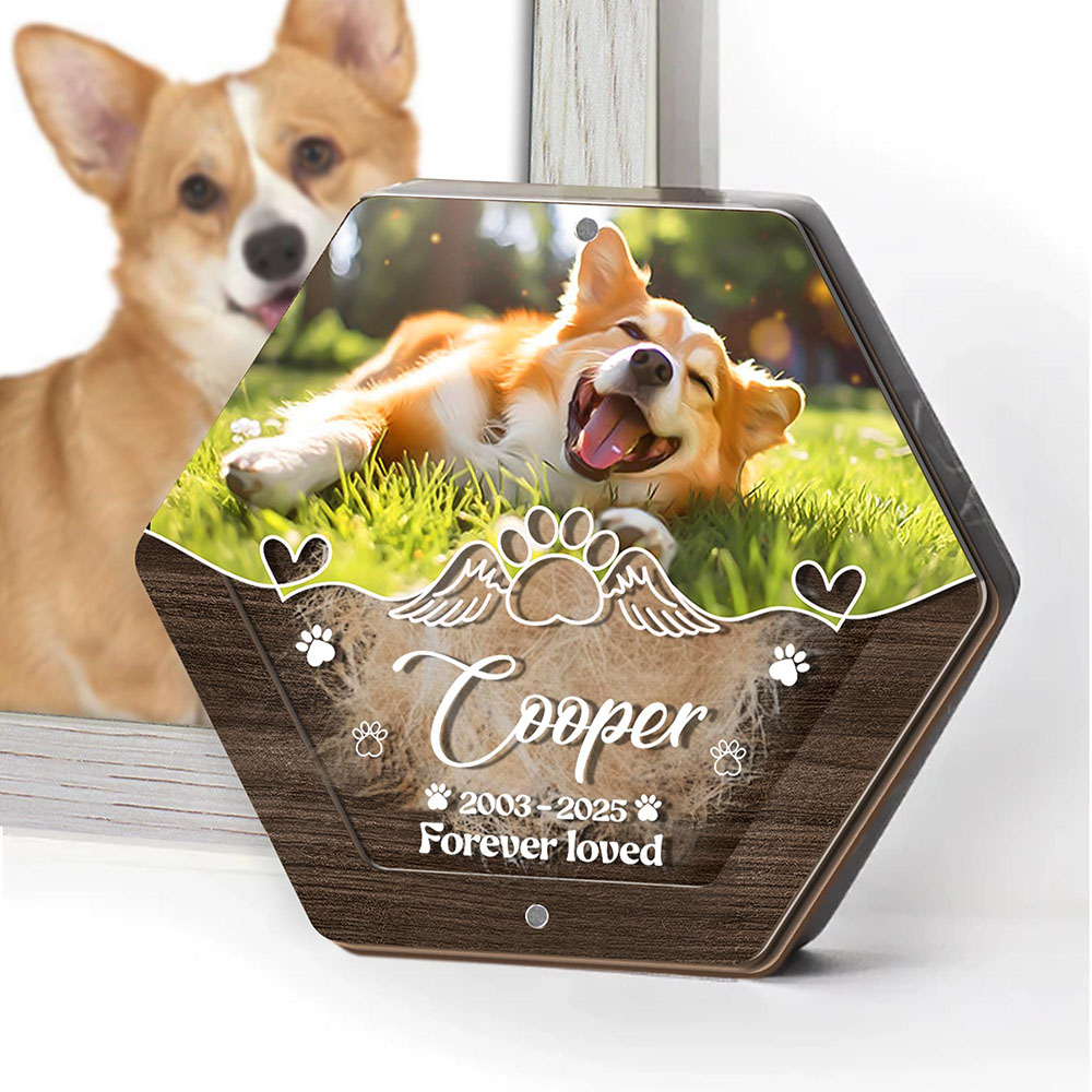 Personalized Name Wooden Carvi - Pet Supplies Stores incelemesi ve fiyatı