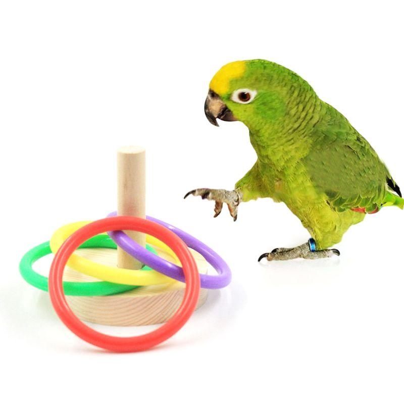 Bird Parrot Wooden Platform Pl - Pet Supplies Ringwood incelemesi ve fiyatı