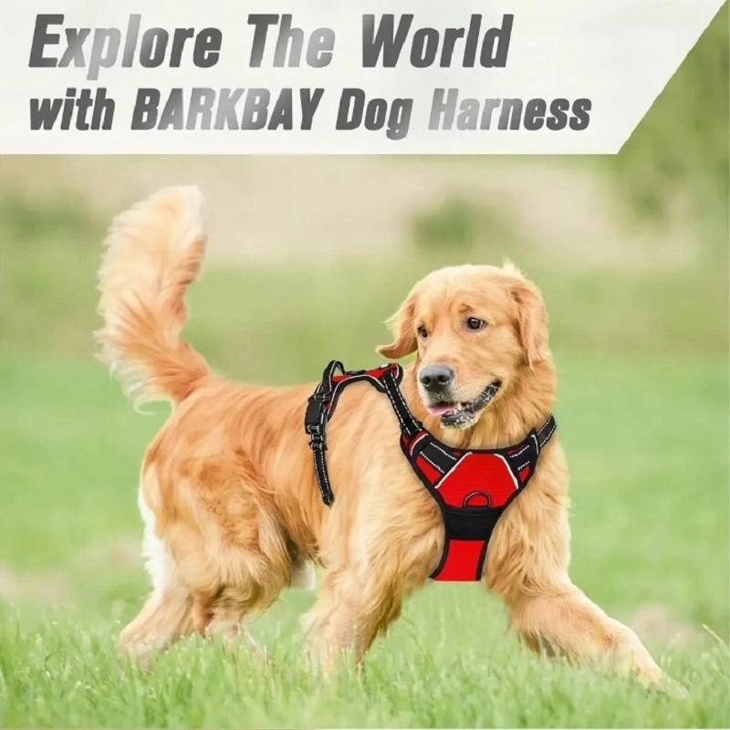 No Pull Dog Harness Large Dog  - No Pull Dog Harness incelemesi ve fiyatı
