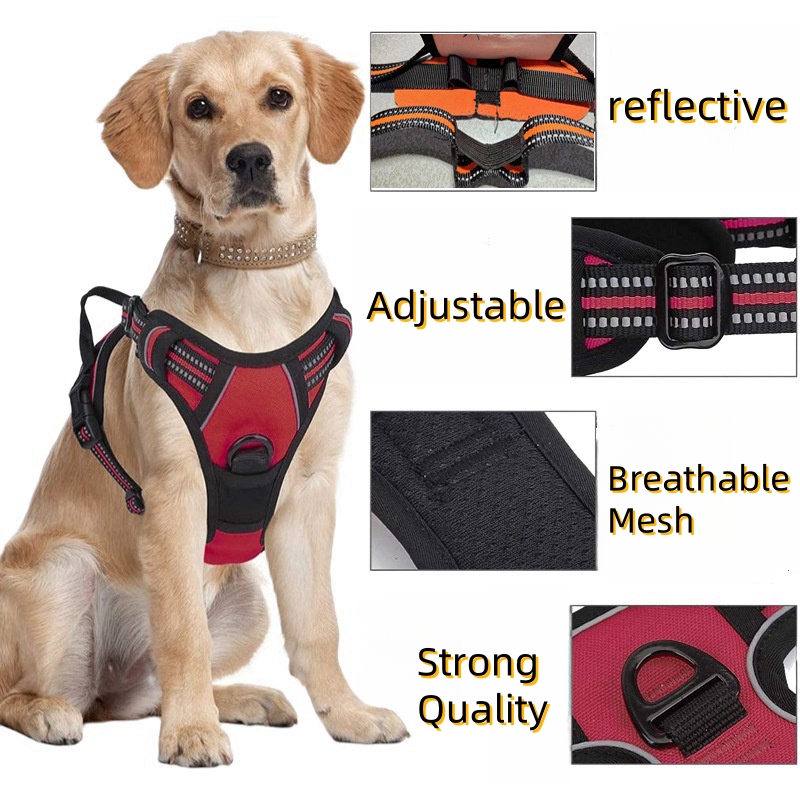 No Pull Dog Harness Large Dog  - No Pull Dog Harness incelemesi ve fiyatı
