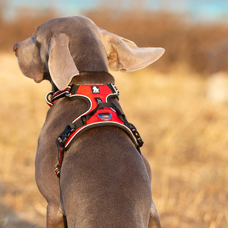 Truelove Pet Reflective Nylon  - No Pull Dog Harness incelemesi ve fiyatı