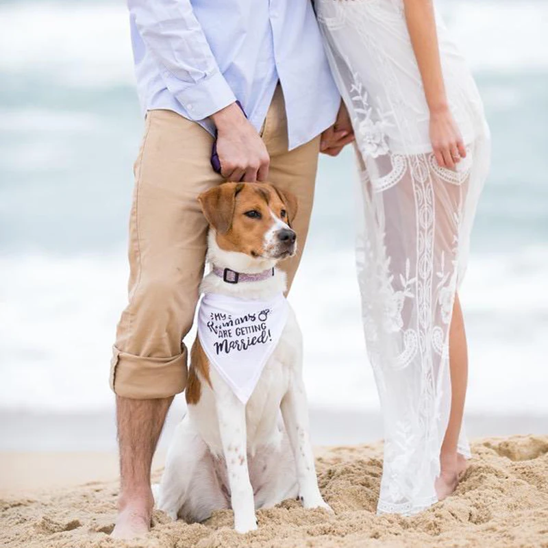 My Humans are Getting Married  - Dog Bandana Scarf incelemesi ve fiyatı