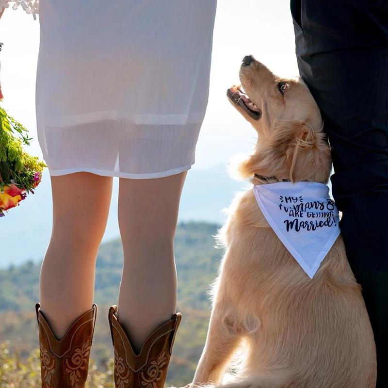 My Humans are Getting Married  - Dog Bandana Scarf incelemesi ve fiyatı
