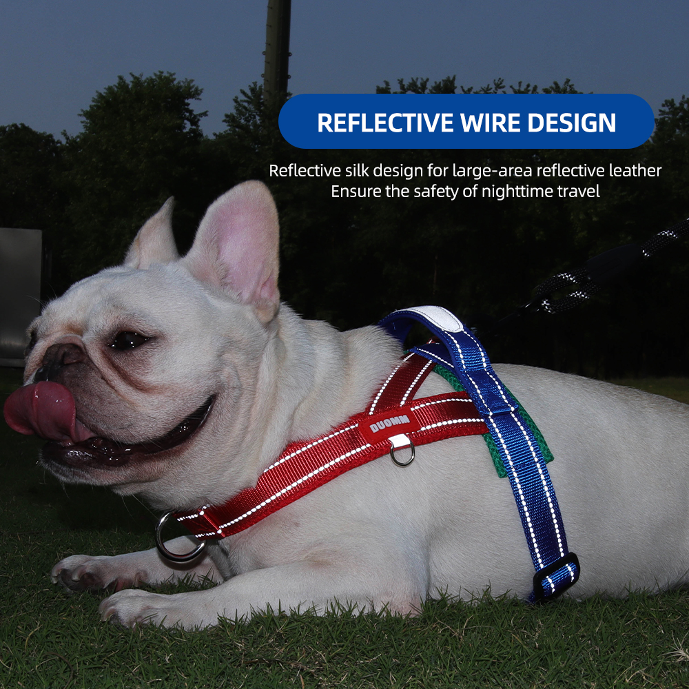 Dog Harness No Pull Saddle-Sty - No Pull Dog Harness incelemesi ve fiyatı
