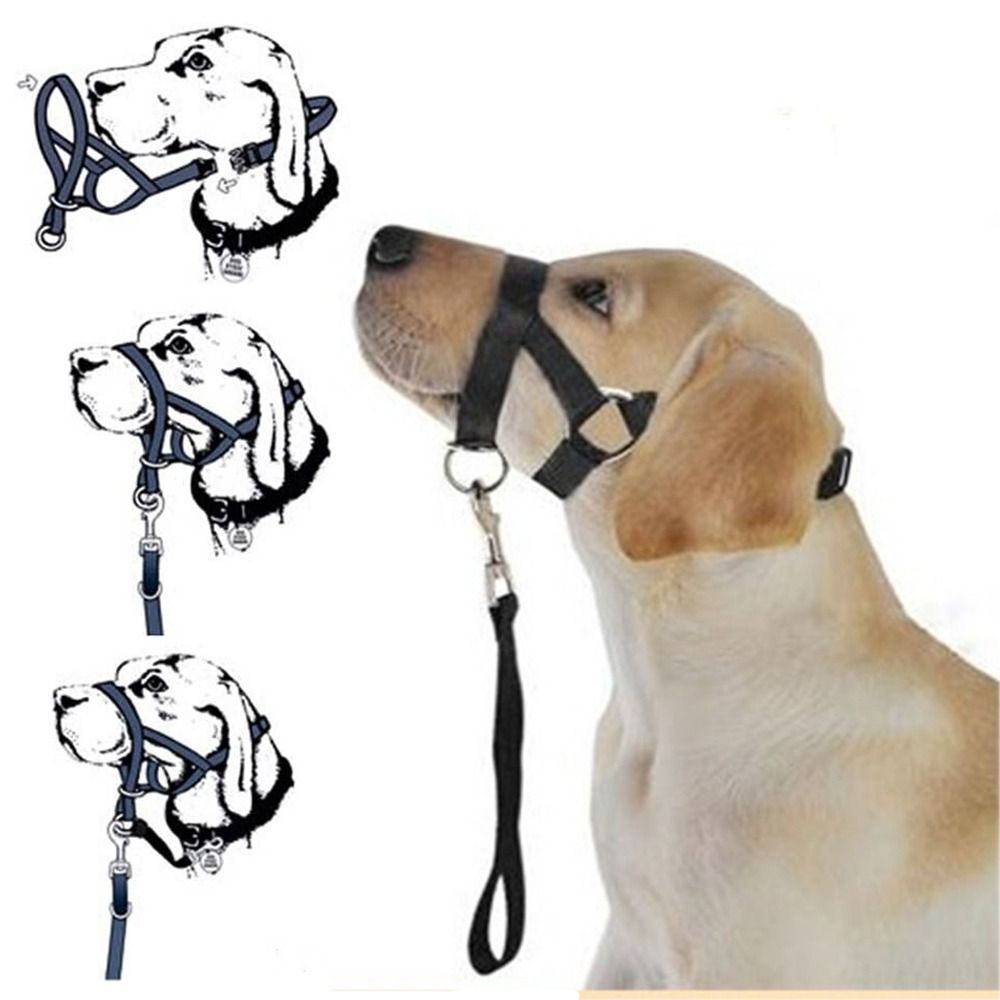 Adjustable Anti barking Non Pu - No Pull Dog Harness incelemesi ve fiyatı