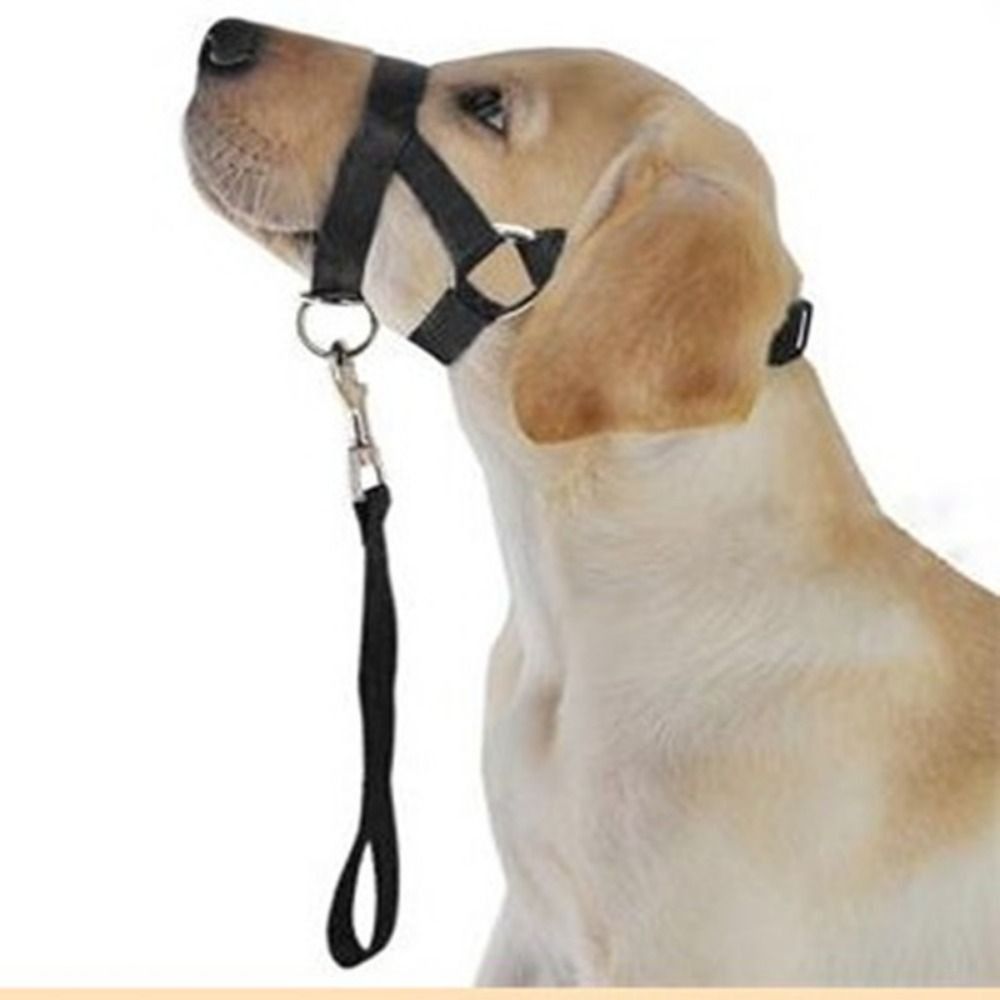 Adjustable Anti barking Non Pu - No Pull Dog Harness incelemesi ve fiyatı