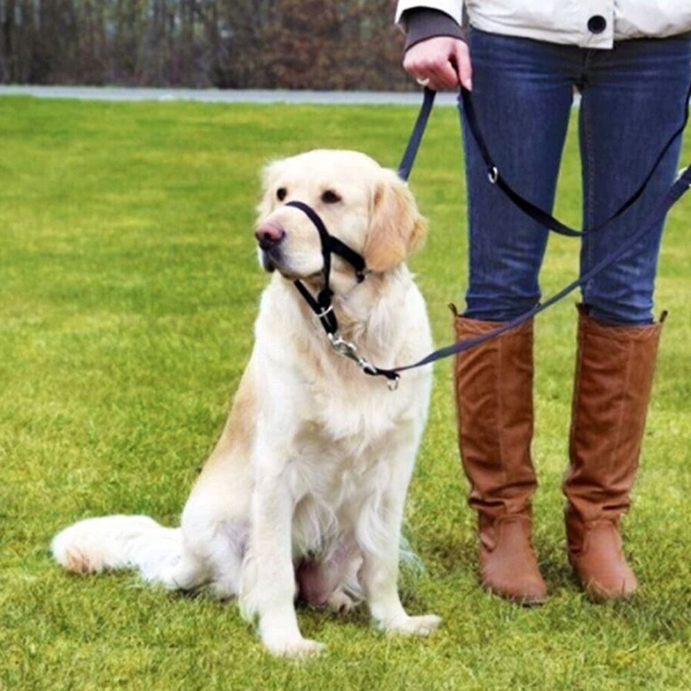 Adjustable Anti barking Non Pu - No Pull Dog Harness incelemesi ve fiyatı