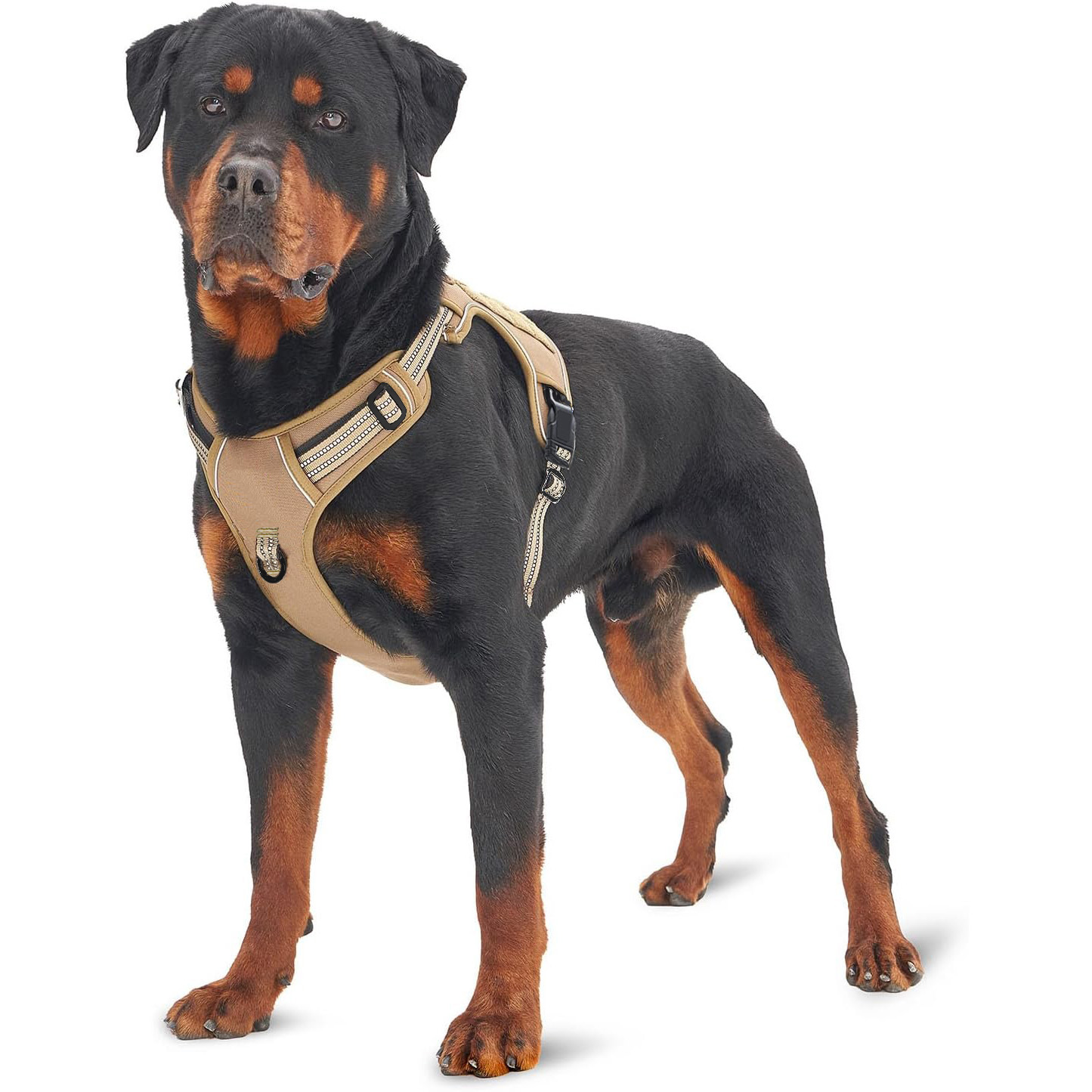 Military Tactical Dog Harness  - No Pull Dog Harness incelemesi ve fiyatı