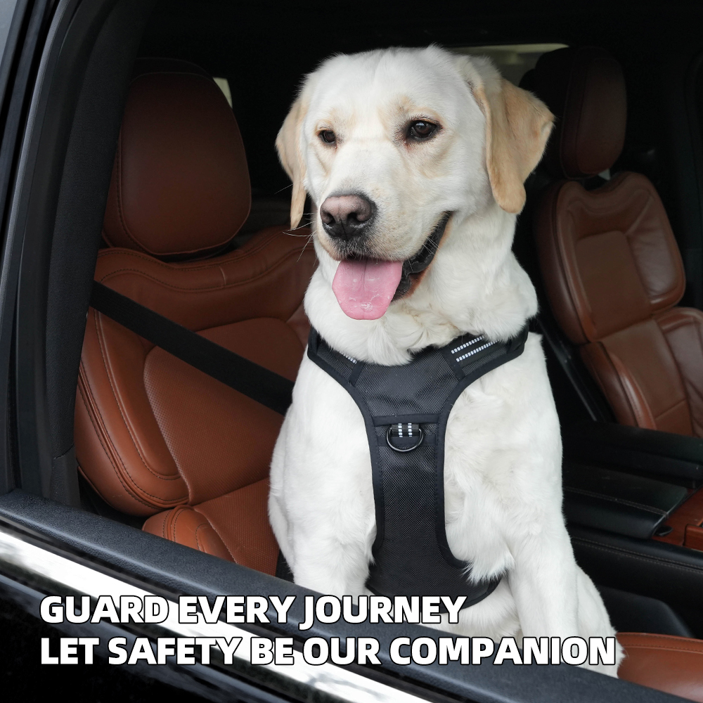 Car Safety Dog Harness for Med - No Pull Dog Harness incelemesi ve fiyatı