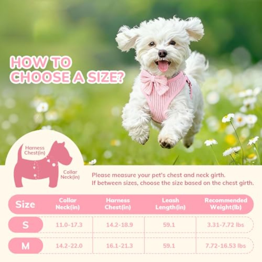 Small Dog Collar Harness and L - No Pull Dog Harness incelemesi ve fiyatı