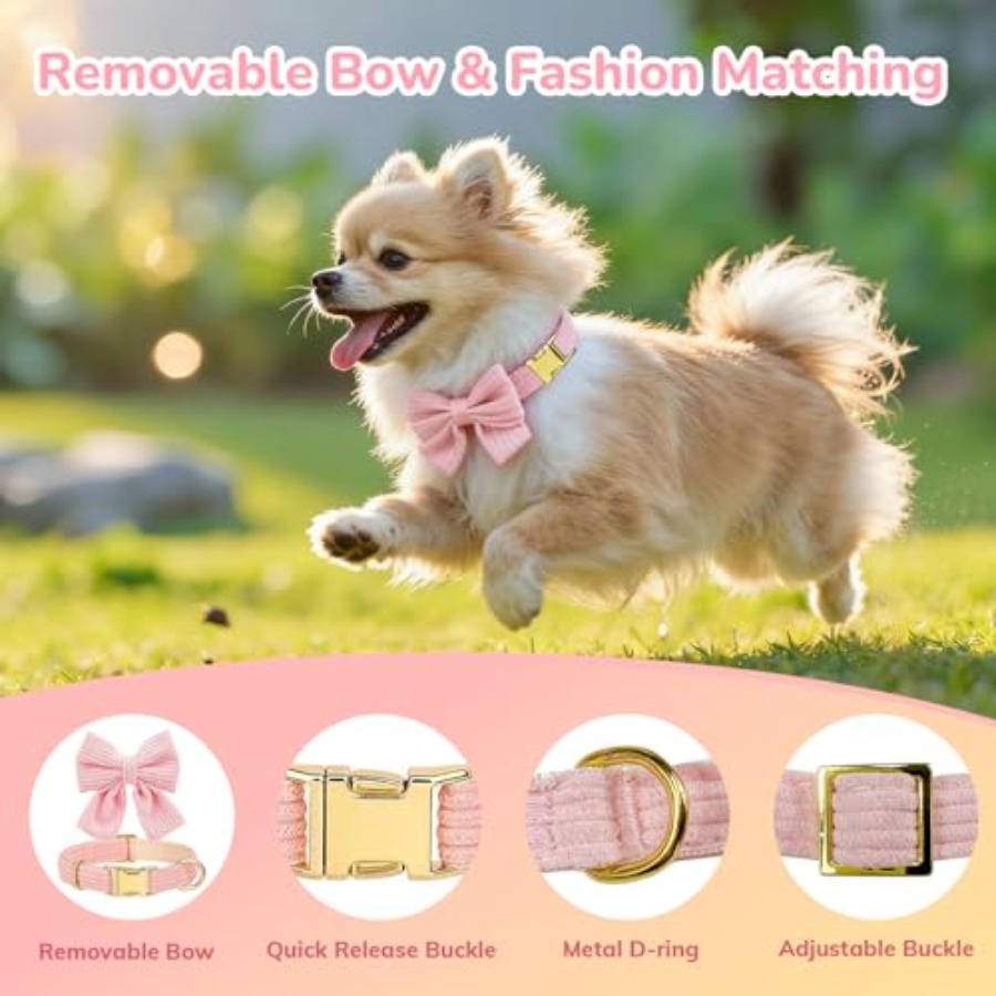 Small Dog Collar Harness and L - No Pull Dog Harness incelemesi ve fiyatı
