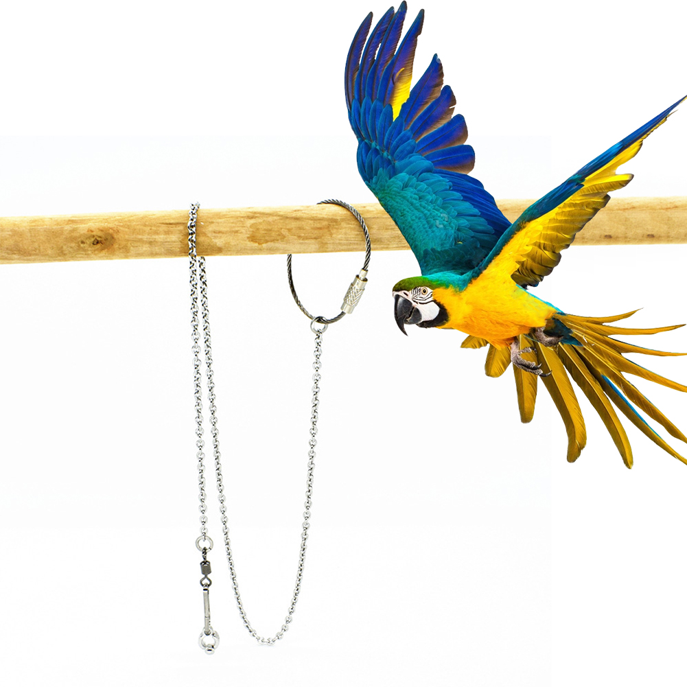 1Pcs Pet Parrot Leg Ring Ankle - Pet Supplies Ringwood incelemesi ve fiyatı