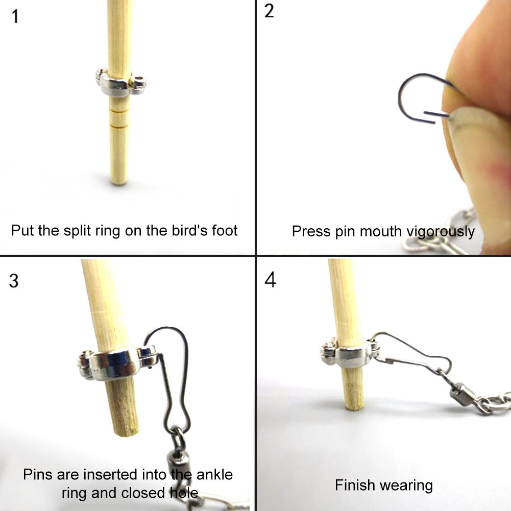 1Pcs Pet Parrot Leg Ring Ankle - Pet Supplies Ringwood incelemesi ve fiyatı