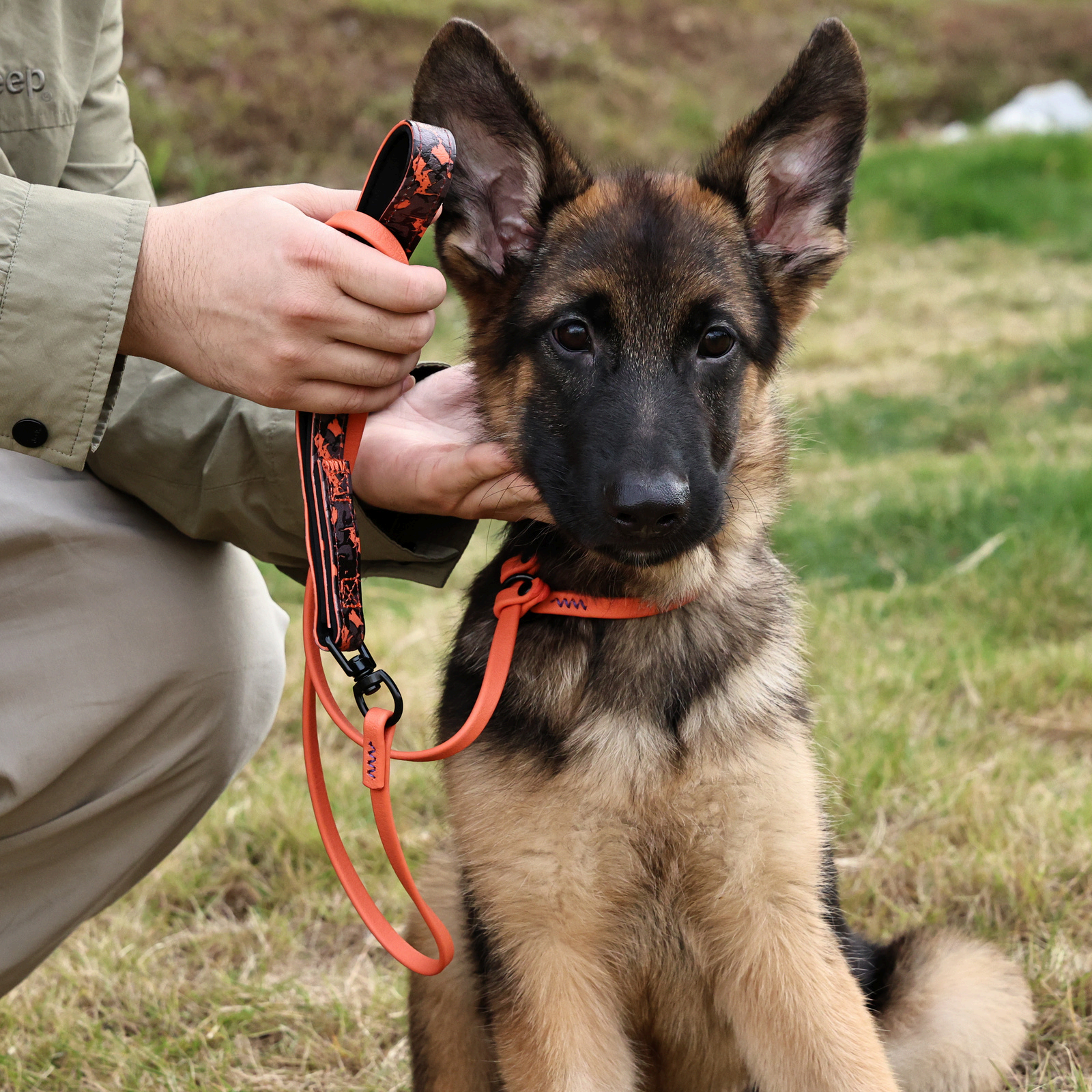 150cm P-Leash Training Dog Lea - No Pull Dog Harness incelemesi ve fiyatı